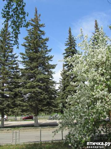 ���� 4: ������� ���.. ������!! (������� ������������)