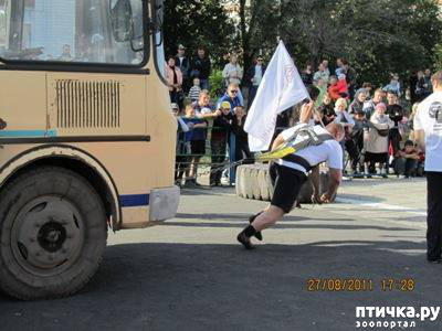 ���� 11: ������� ���.. ������!! (������� ������������)