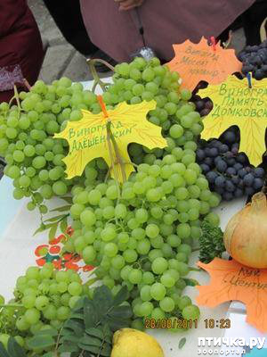 ���� 13: ������� ���.. ������!! (������� ������������)