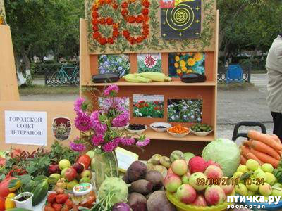 ���� 14: ������� ���.. ������!! (������� ������������)