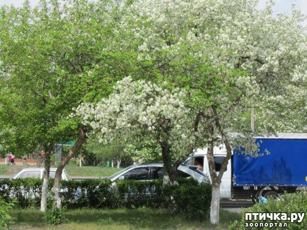 ���� 5: ������� ���.. ������!! (������� ������������)