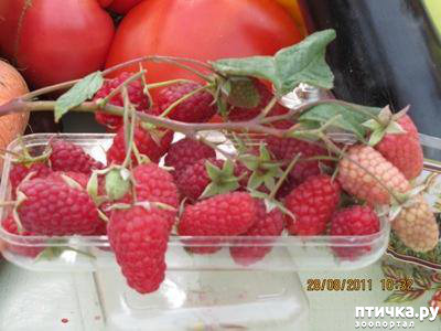 ���� 15: ������� ���.. ������!! (������� ������������)