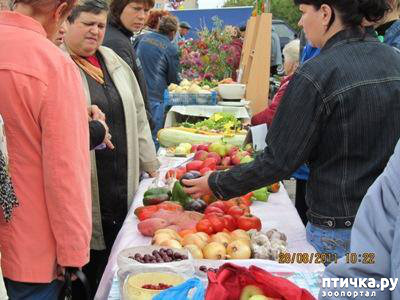 ���� 12: ������� ���.. ������!! (������� ������������)