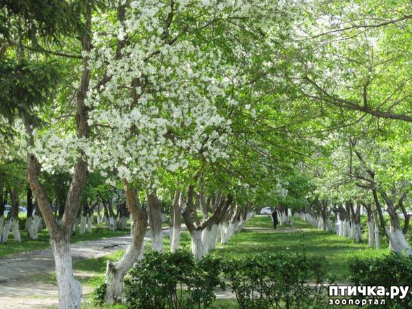 ���� 6: ������� ���.. ������!! (������� ������������)