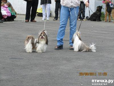 ���� 20: ������� ���.. ������!! (������� ������������)