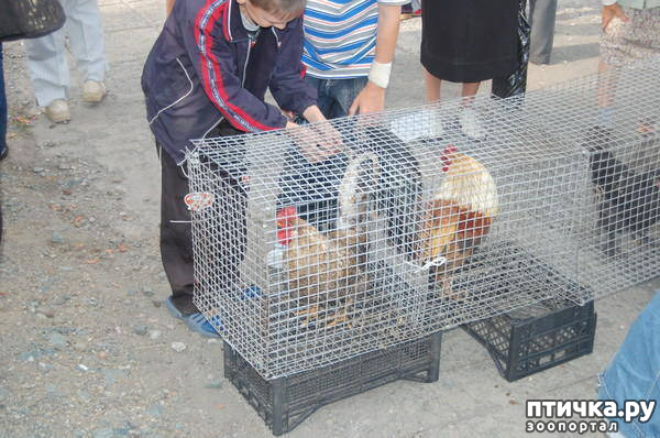 ���� 23: ������� ���.. ������!! (������� ������������)