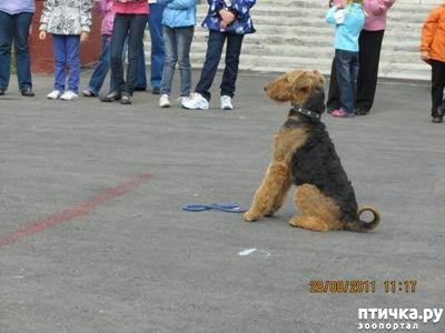 ���� 21: ������� ���.. ������!! (������� ������������)