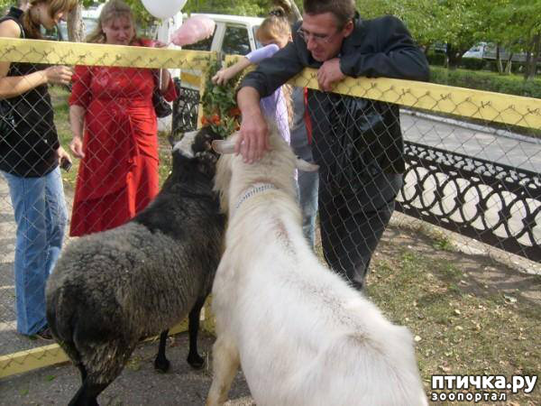 ���� 29: ������� ���.. ������!! (������� ������������)