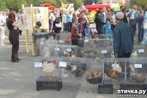 ���� 24: ������� ���.. ������!! (������� ������������)