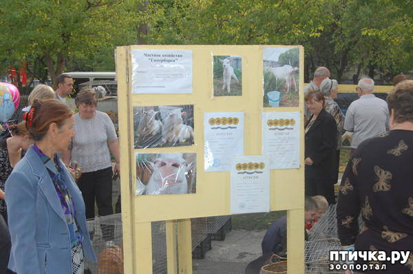 ���� 25: ������� ���.. ������!! (������� ������������)