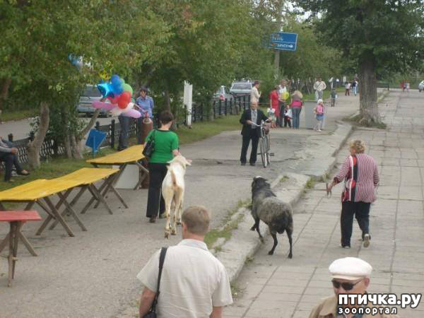 ���� 30: ������� ���.. ������!! (������� ������������)