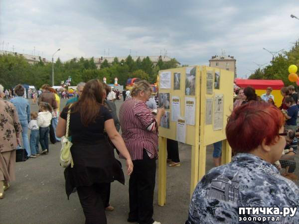 ���� 27: ������� ���.. ������!! (������� ������������)