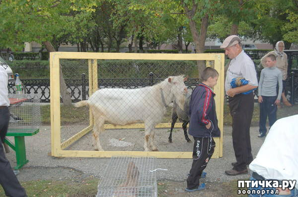 ���� 28: ������� ���.. ������!! (������� ������������)