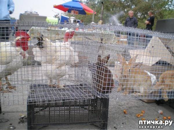 ���� 22: ������� ���.. ������!! (������� ������������)