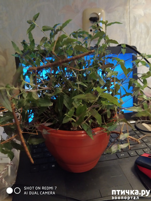 ����: ��� ����� �������� ���� � ������� ��������