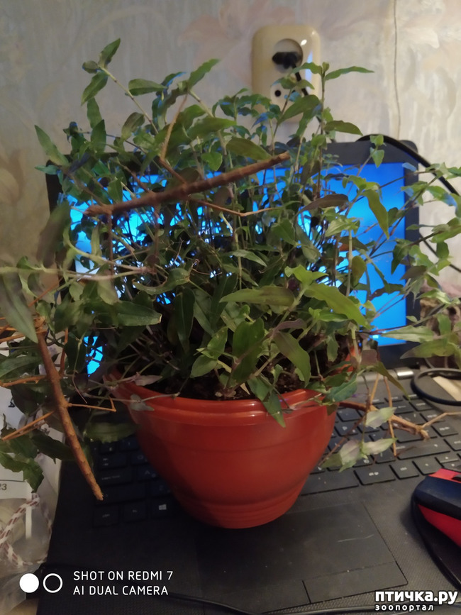 ���� 1: ��� ����� �������� ���� � ������� ��������