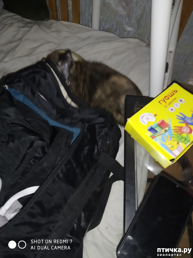 ���� 2: ��� ����� �������� ���� � ������� ��������