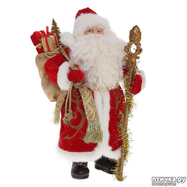 ���� 1: ����� ���������� ����� ������������