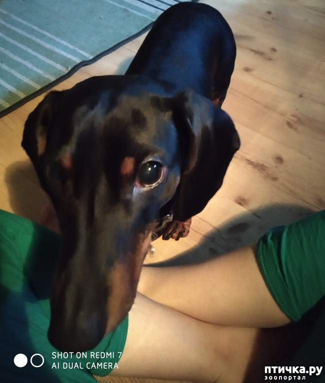 ���� 4: ��� ����� �������� ���� � ������� ��������