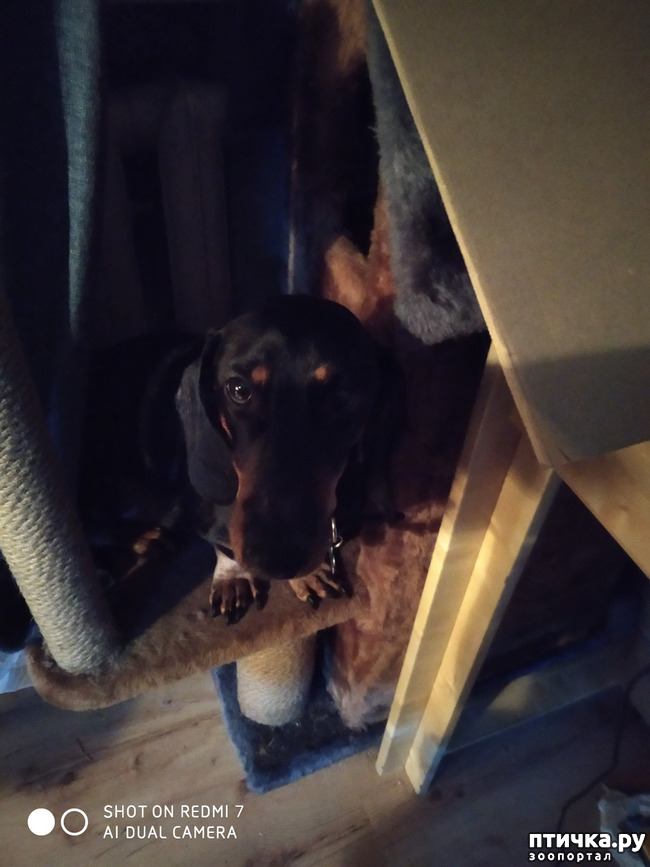 ���� 5: ��� ����� �������� ���� � ������� ��������