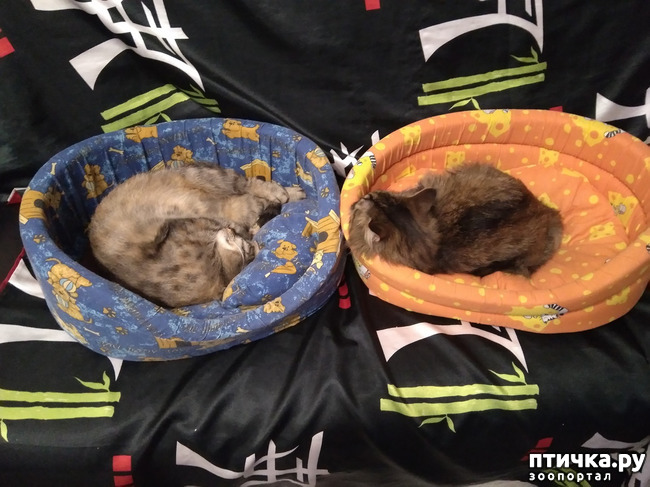 ���� 1: ��������. ������, ����� ����.