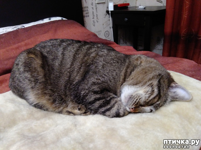 ���� 2: ��������. ������, ����� ����.