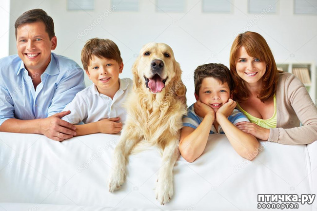 ���� 2: ����� �������������� �������...