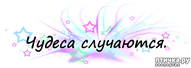 ���� 5: ����� ���������� ����� ������������