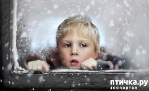 ����: ����� �������������� �������...