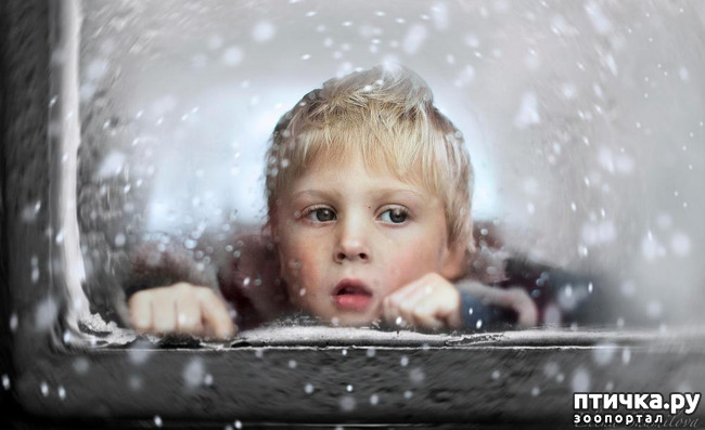 ���� 1: ����� �������������� �������...