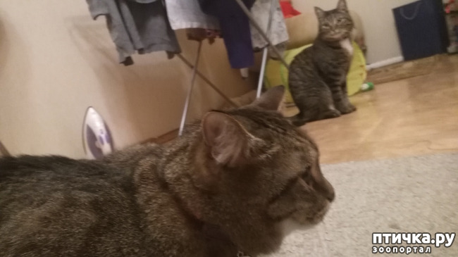 ���� 1: �����