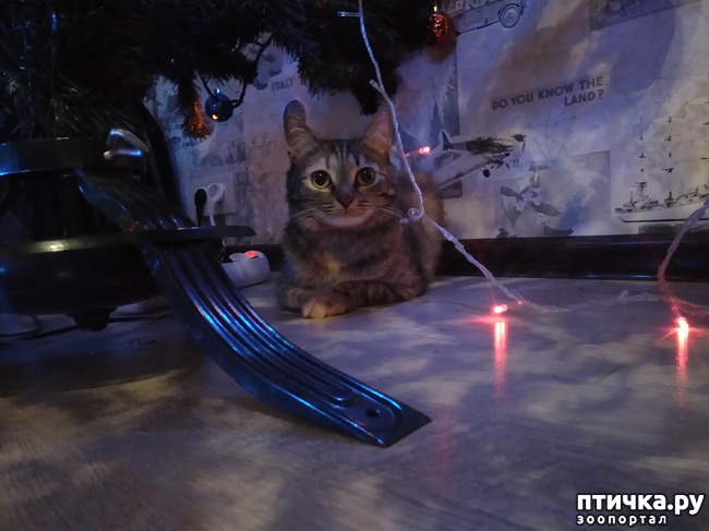 ���� 1: ��������. ��� ��������...