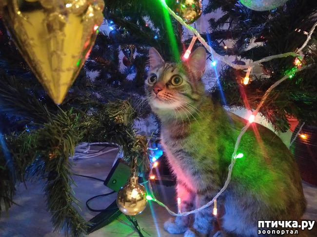 ���� 2: ��������. ��� ��������...