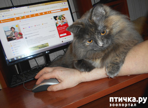 ����: � ����� ������ �����