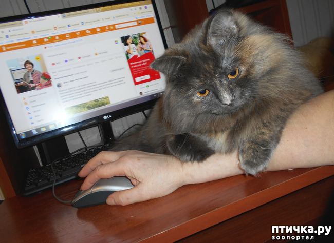 ���� 1: � ����� ������ �����