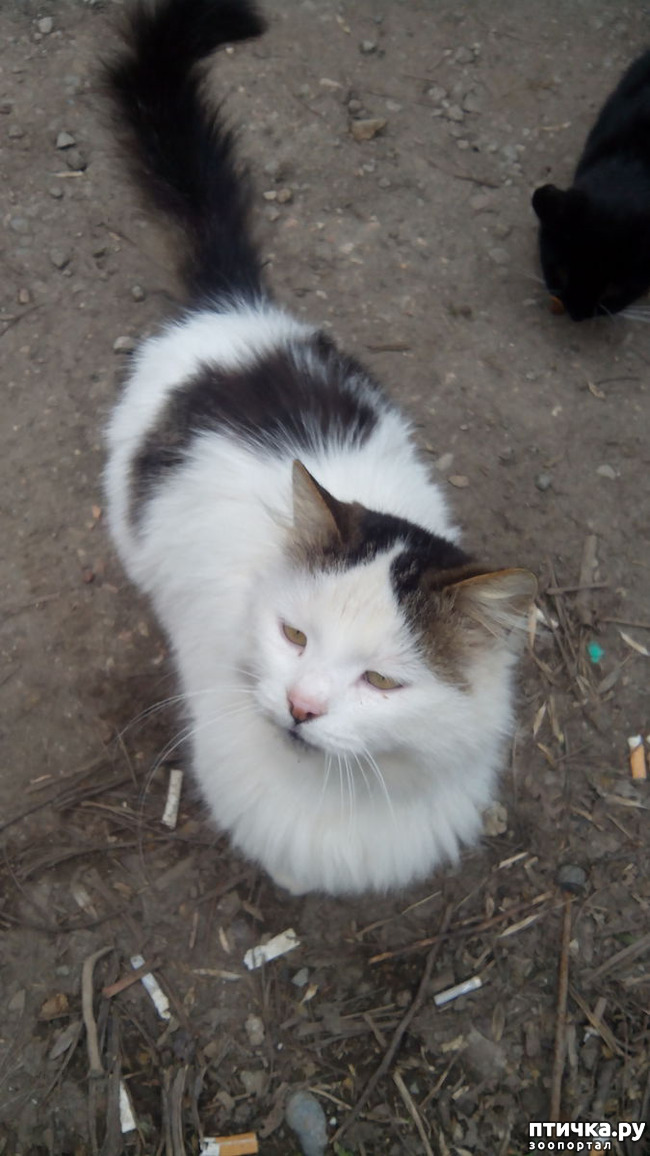 ���� 2: ����������� ��������