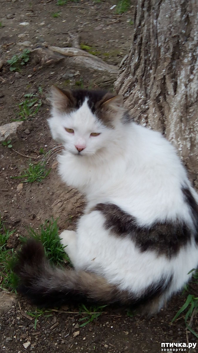 ���� 3: ����������� ��������