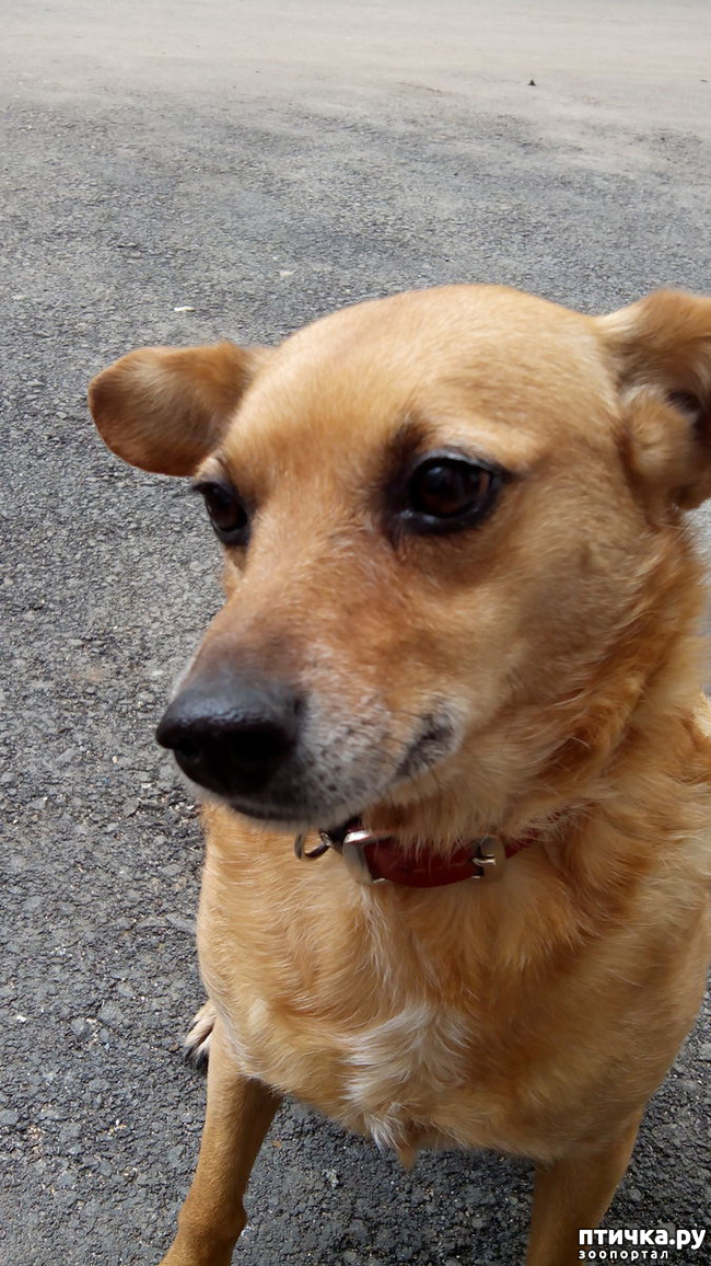 ���� 4: ����������� ��������