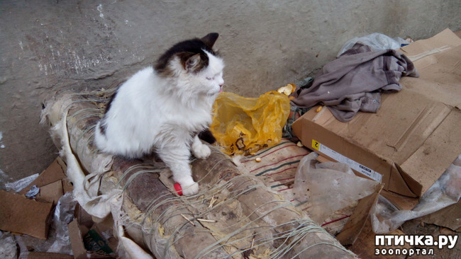 ���� 6: ����������� ��������