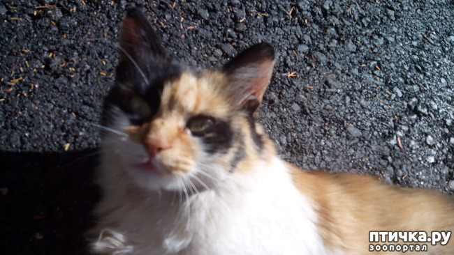 ���� 8: ����������� ��������