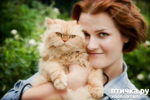 фотография: 10 ФАКТОВ О ВЛИЯНИИ КОШЕК НА ЗДОРОВЬЕ ЧЕЛОВЕКА фото: 10 ФАКТОВ О ВЛИЯНИИ КОШЕК НА ЗДОРОВЬЕ ЧЕЛОВЕКА