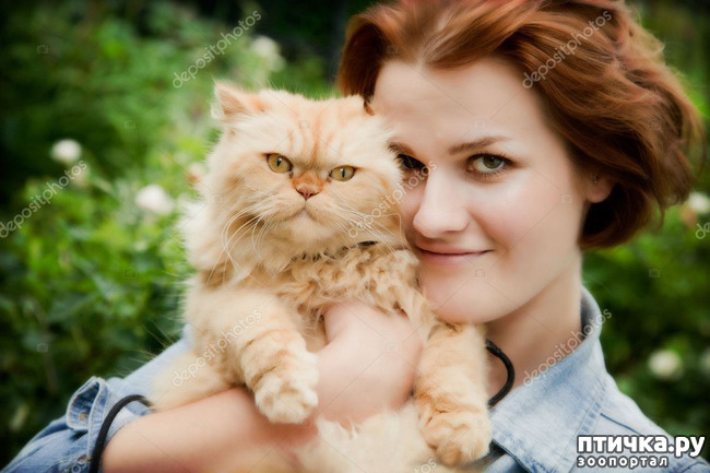 ���� 1: 10 ������ � ������� ����� �� �������� ��������