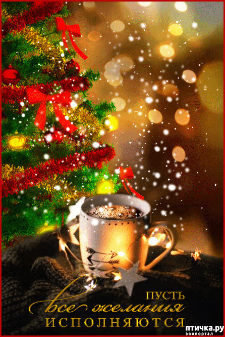 ���� 2: 10 ������ � ������� ����� �� �������� ��������