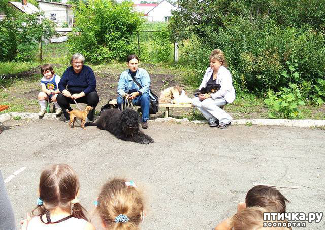 ���� 5: � �����, ����� � �������.. (������ ������ �������)