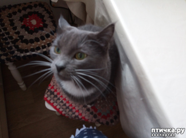 ���� 2: ��� �� � �������� ���� ������