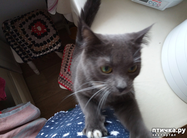 ���� 3: ��� �� � �������� ���� ������