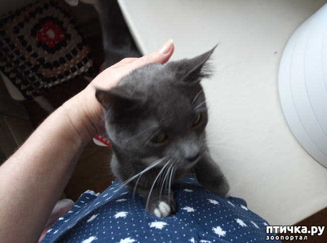 ���� 4: ��� �� � �������� ���� ������