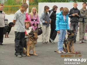 фотография: О детях, добре и собаках.. (Листая старый дневник) фото: О детях, добре и собаках.. (Листая старый дневник)