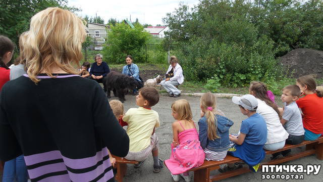 ���� 4: � �����, ����� � �������.. (������ ������ �������)