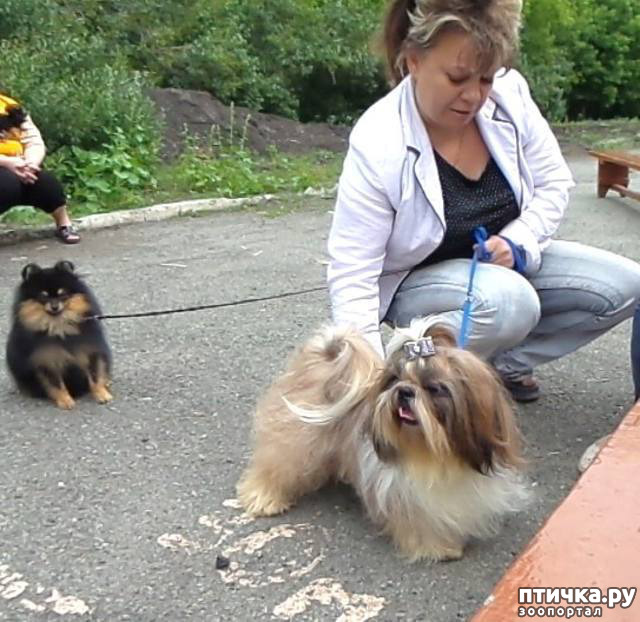 ���� 3: � �����, ����� � �������.. (������ ������ �������)